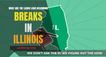 Understanding Illinois Labor Laws: Breaks and You