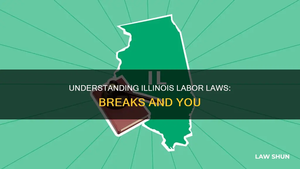 what are the labor laws regarding breaks in illinois