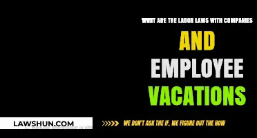 Understanding Employee Vacation Rights: Key Labor Laws for Companies