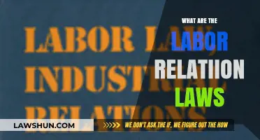 Understanding Labor Relation Laws: Rights, Responsibilities, and Workplace Dynamics