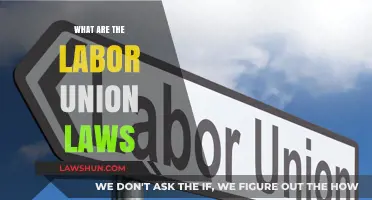 Understanding Labor Union Laws: Rights, Protections, and Legal Framework