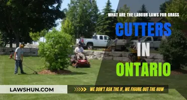 Ontario's Labour Laws for Grass Cutters: Rights, Wages, and Safety