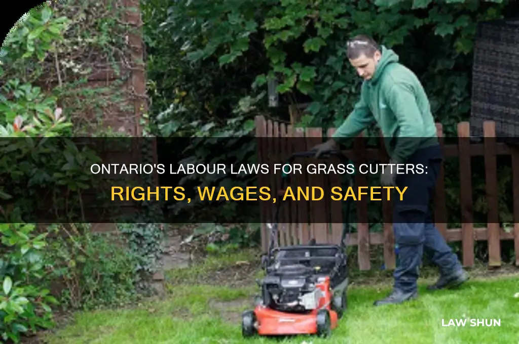 what are the labour laws for grass cutters in ontario