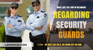 Delaware Security Guard Laws: Understanding Regulations and Requirements