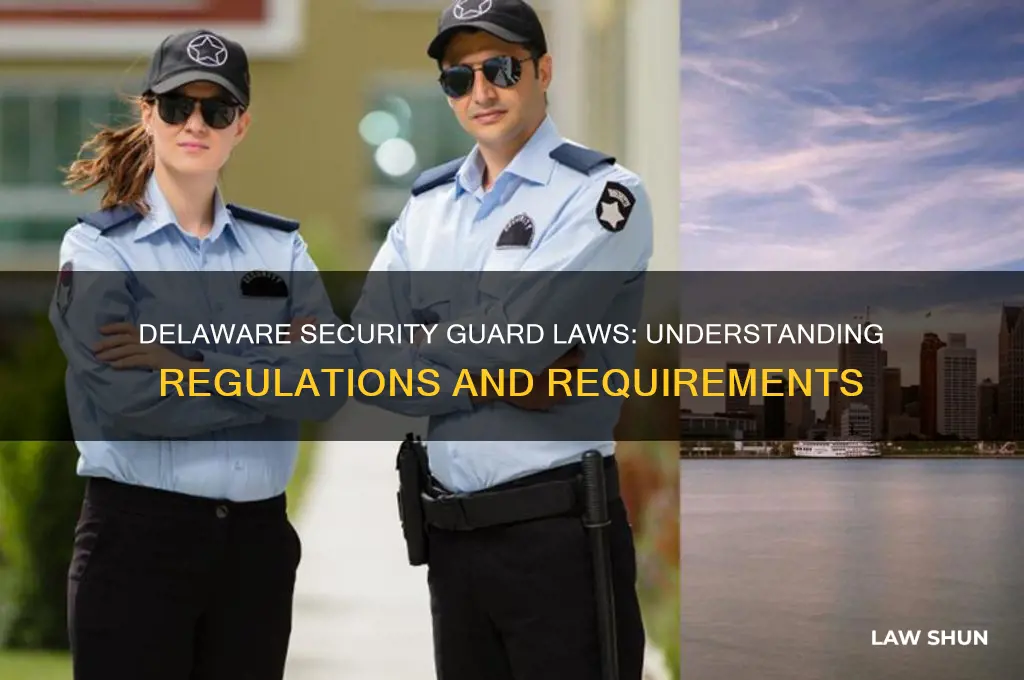 what are the law in delaware regarding security guards