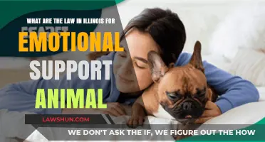 Illinois Emotional Support Animal Laws: What You Need to Know