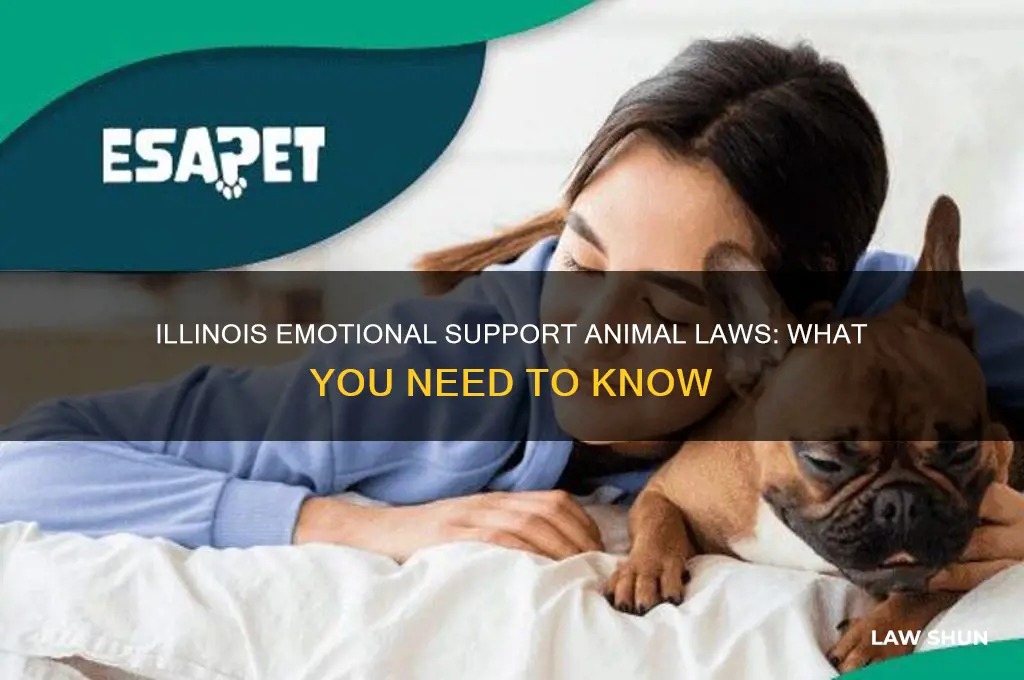 what are the law in illinois for emotional support animal