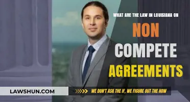 Louisiana Non-Compete Agreements: Understanding Legal Boundaries and Restrictions