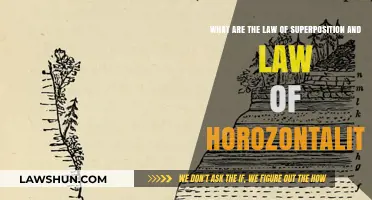 Understanding Earth's Layers: Law of Superposition and Horizontality Explained