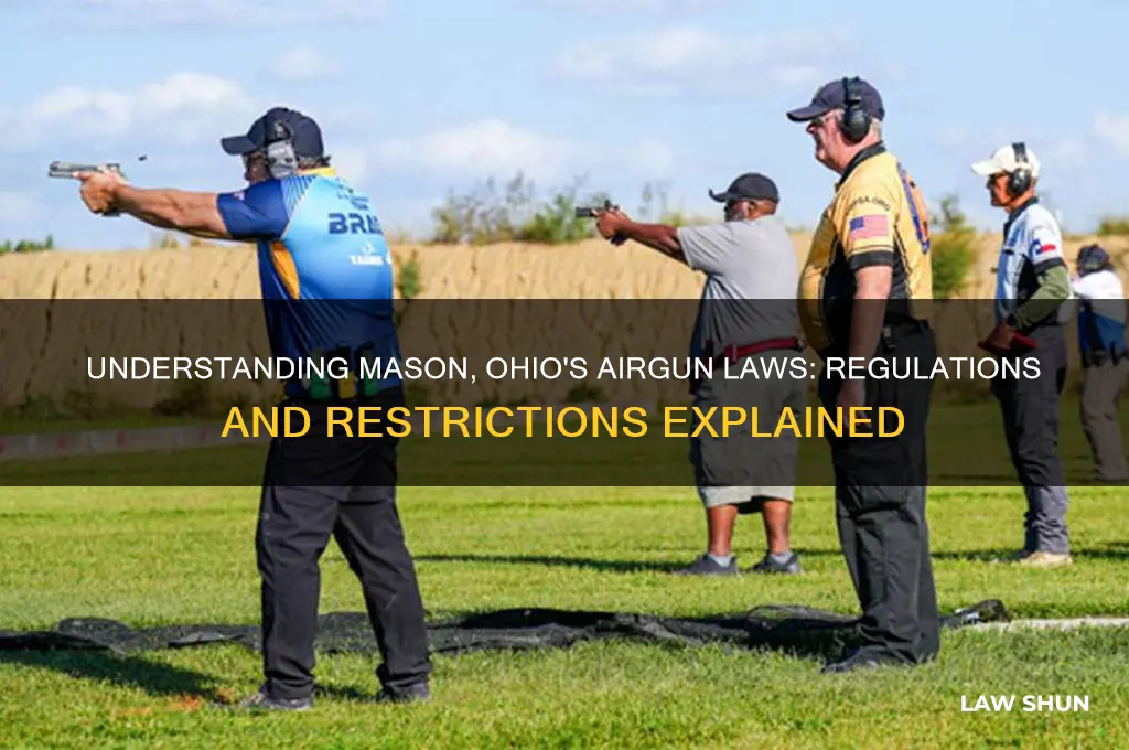 what are the law on airguns in mason ohio