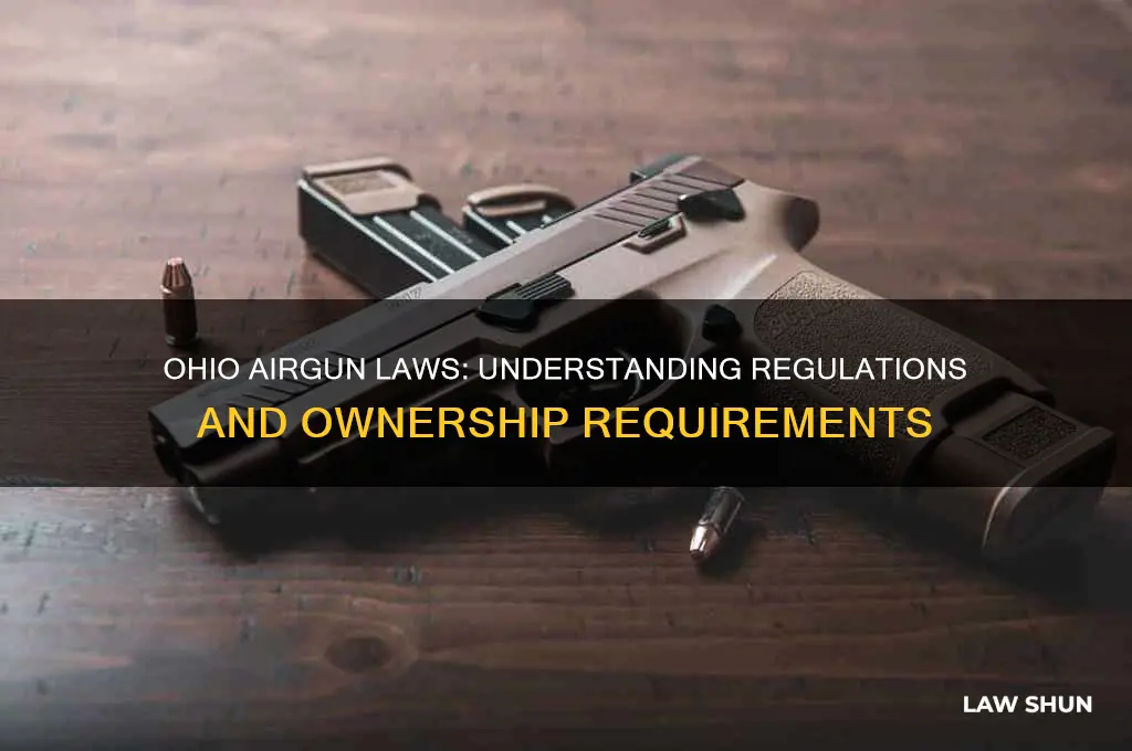 what are the law on airguns in ohio