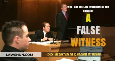 False Witness Consequences: Legal Penalties for Perjury and Fabricated Testimony