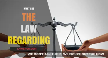 Understanding Legal Rights: What Are the Laws Regarding Your Concerns?