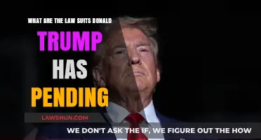 Donald Trump's Legal Battles: Pending Lawsuits and Allegations Explained