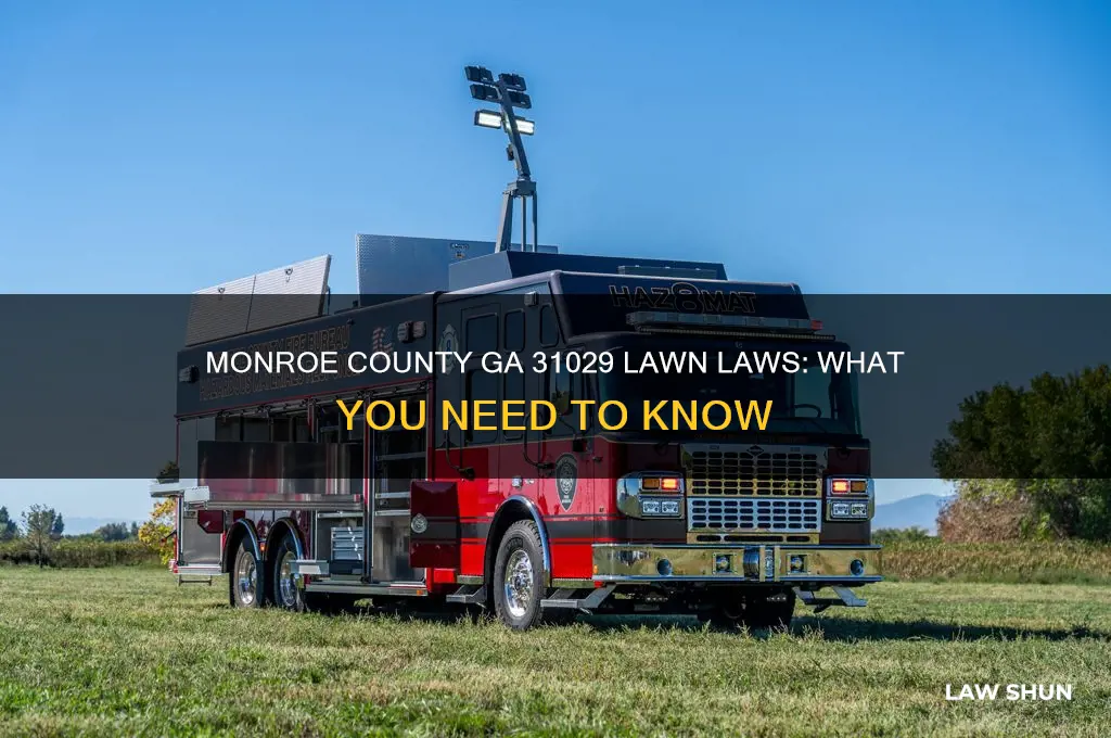 what are the lawn laws in monroe county ga 31029