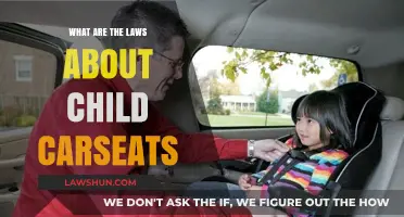Understanding Child Car Seat Laws: Safety, Regulations, and Compliance