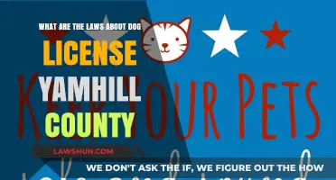 Dog Licensing Laws in Yamhill County