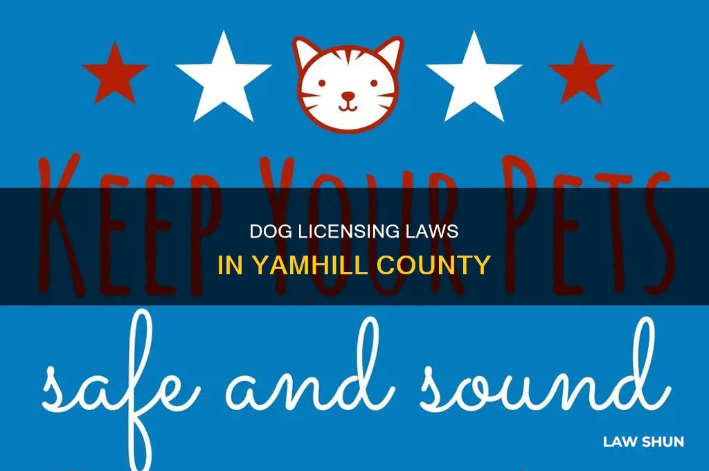 what are the laws about dog license yamhill county