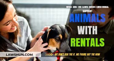 Emotional Support Animals in Rentals: Understanding Legal Rights and Responsibilities
