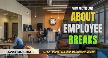 Understanding Employee Break Laws: Your Rights Explained