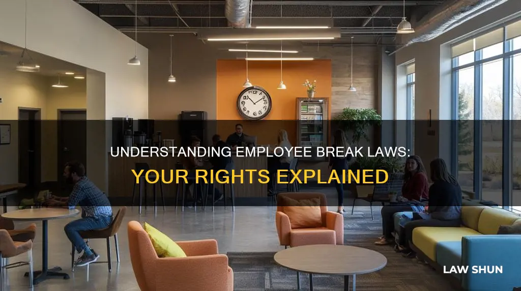 what are the laws about employee breaks