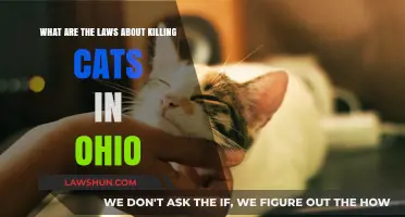 Ohio's Cat Protection Laws: Understanding Legal Boundaries for Feline Safety