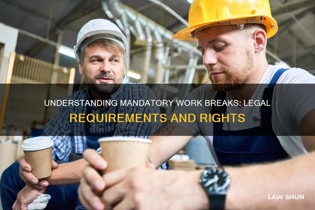 what are the laws about mandatory work breaks