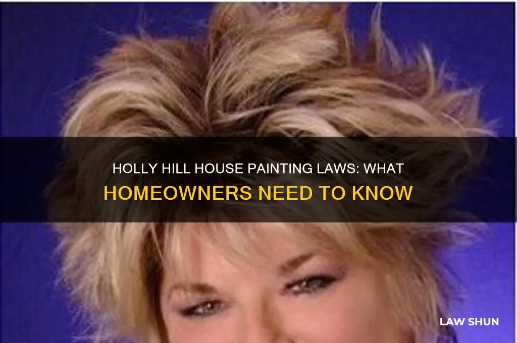 what are the laws about painting house in holly hill