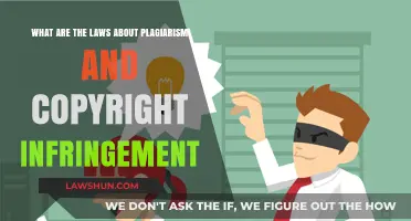 Understanding Plagiarism and Copyright Laws: Legal Consequences and Protection