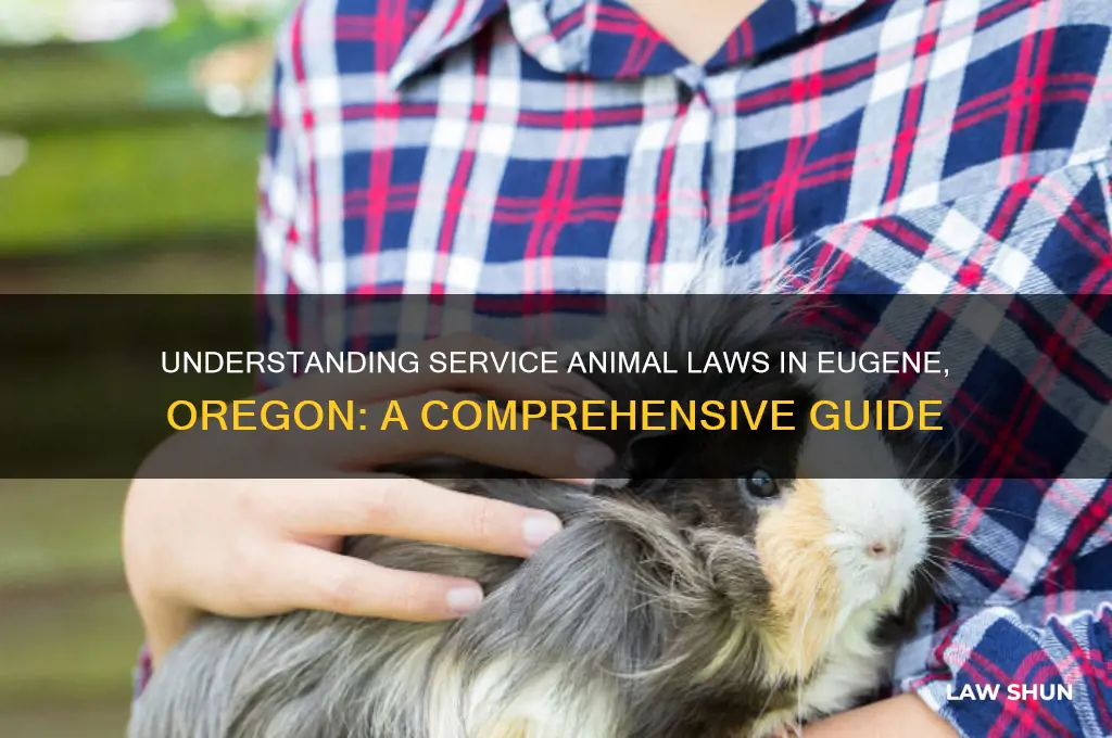 what are the laws about service animals in eugene oregon
