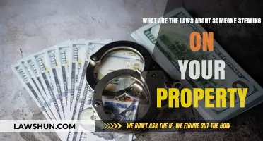 Understanding Trespassing and Theft Laws: Protecting Your Property Rights