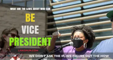 Who Can Be Vice President? Understanding Eligibility Laws