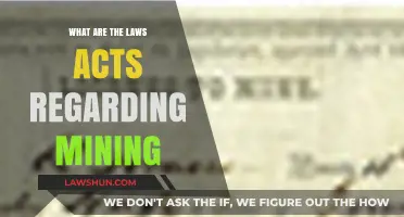 Understanding Mining Laws: Key Acts and Regulations Explained