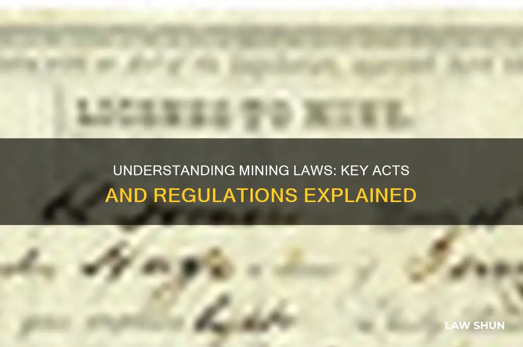 what are the laws acts regarding mining