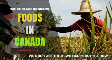 Canada's GMO Food Laws: What You Need to Know