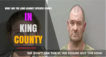 King County's Legal Stance: Laws Against Specific Crimes Explained