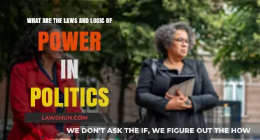 Understanding Political Power: Laws, Logic, and Strategic Dynamics Explained