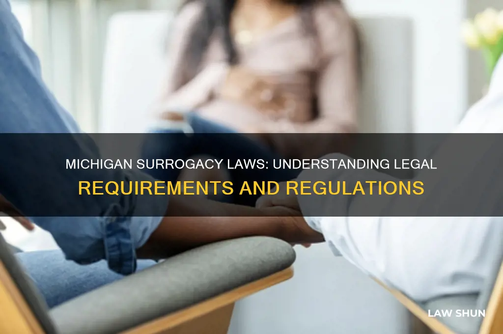 what are the laws and regulations for surrogacy in michigan