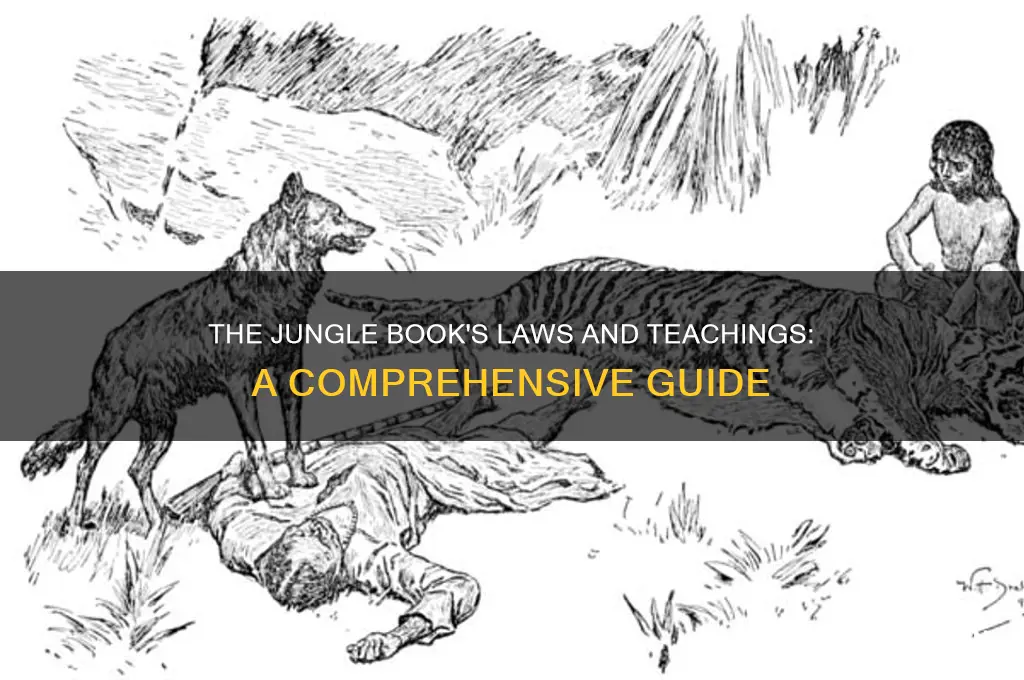 what are the laws and teachings of the jungle book