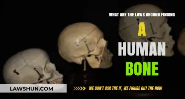 Unearthing Human Remains: Legal Obligations and Ethical Considerations Explained