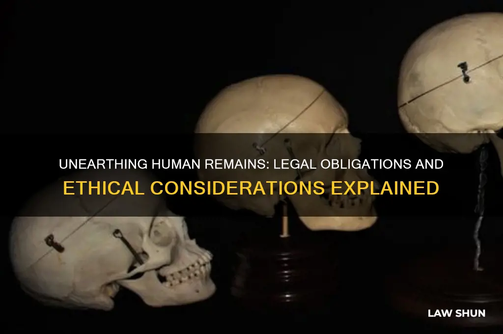 what are the laws around finding a human bone