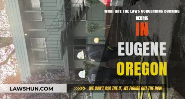 Eugene, Oregon Debris Burning Laws: Regulations and Guidelines Explained