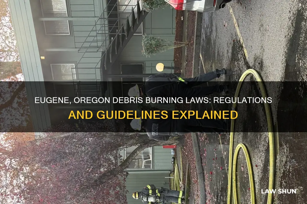 what are the laws concerning burning debris in eugene oregon