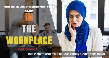 Understanding Workplace Peer-to-Peer Racism Laws: Rights, Protections, and Consequences