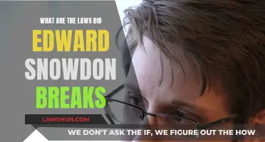 Snowden's Secrets: Breaking Laws, Exposing Truths