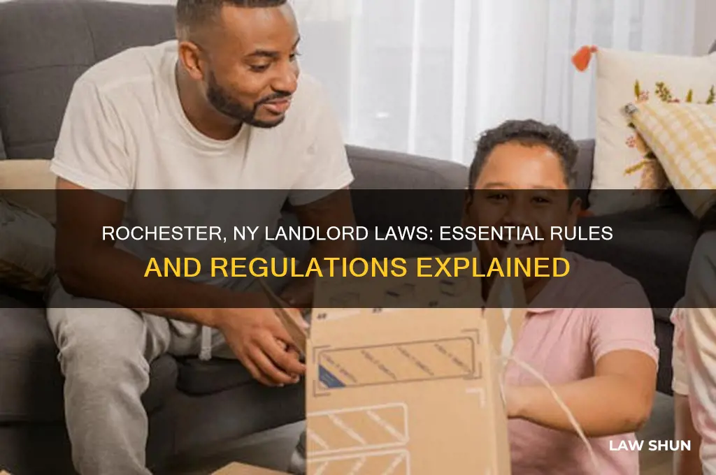 what are the laws for a landlord in rochester ny