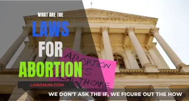 Abortion Laws: Understanding Your Rights and Restrictions