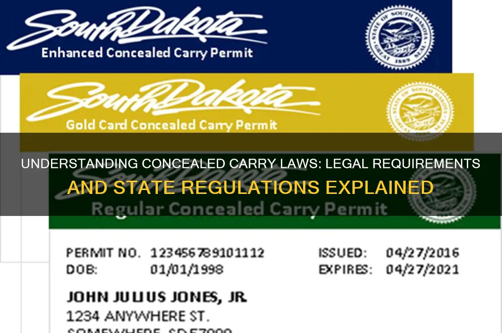 what are the laws for concealed carry