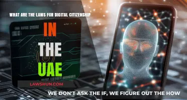Understanding UAE's Digital Citizenship Laws: Rights, Responsibilities, and Regulations