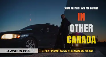 Driving in Canada: Understanding Provincial Laws